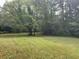 Expansive green lawn and mature trees offering privacy and natural beauty at 408 Hasty Trl, Canton, GA 30115
