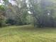 Lush green lawn and mature trees offering privacy and natural beauty at 408 Hasty Trl, Canton, GA 30115