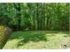 Manicured backyard featuring lush green grass, mature trees, and natural surroundings at 77 Skyland Dr, Roswell, GA 30075