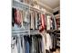 Walk-in closet featuring organized shelves, hanging rods, and ample storage for clothing at 2910 Creek Tree Ln, Cumming, GA 30041