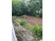 A cleared backyard with dirt ground, vegetation, and trees on a sunny day at 1103 Windsor St, Atlanta, GA 30310