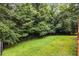Lush backyard featuring vibrant green grass and mature trees at 4137 Donna Ct, Ellenwood, GA 30294