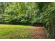 Lush backyard featuring vibrant green grass and mature trees at 4137 Donna Ct, Ellenwood, GA 30294
