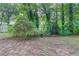 Spacious backyard with lush greenery offering ample space and privacy at 2047 Cliffton Ter, Snellville, GA 30039