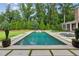 Backyard pool with stone tile, complemented by manicured lawn and mature trees, framed by potted plants at 150 Trinity Farm Dr, Canton, GA 30115