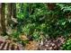 Scenic view of a wooded area with a small, natural creek flowing through the lush greenery at 4569 Fountain Ne Dr, Marietta, GA 30067