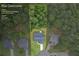 Aerial view showing a large home on a 0.71 acre lot surrounded by mature trees at 1524 Guthrie Crossing Dr, Loganville, GA 30052