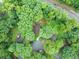 Aerial view of a home surrounded by lush greenery, showcasing its private and serene location at 3402 Wynnewood Ln, Duluth, GA 30096