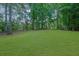 Expansive backyard with lush green grass and wooded area at 140 Ashewoode Downs Ln, Johns Creek, GA 30005