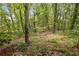 Backyard shot showing mature trees and lush plants in a wooded location at 1832 Tree Top Ct, Marietta, GA 30062