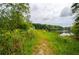 Scenic walking trail with wildflowers and a lake view, offering a peaceful retreat at 4380 Serenity Lake Dr, Cumming, GA 30028