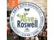 Advertisement for the Alive in Roswell Festival at 125 Spring Dr, Roswell, GA 30075