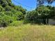View of backyard featuring grass and trees at 195 Darla Dr, Woodstock, GA 30188