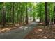Long private driveway leading to the house through a wooded setting at 220 Mars Hill Rd, Powder Springs, GA 30127