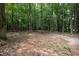 Scenic view of the wooded property with a private driveway at 220 Mars Hill Rd, Powder Springs, GA 30127