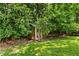 Backyard features a storage shed amongst mature trees and green grass, great for storing lawn or garden equipment at 240 Melrose Ave, Decatur, GA 30030