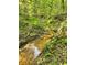A relaxing view of a small creek running through the property, bordered by ferns and greenery at 3975 N Sharon Church N Rd, Loganville, GA 30052