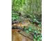 Scenic creek surrounded by trees and foliage, adding natural charm and serenity to the property at 3975 N Sharon Church N Rd, Loganville, GA 30052