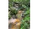 Serene image of a creek flowing gently, bordered by lush greenery, enhancing the natural beauty at 3975 N Sharon Church N Rd, Loganville, GA 30052