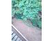 Well-maintained backyard, showing trees, a garden, and mulch ground cover at 3930 Regal Oaks Dr, Suwanee, GA 30024