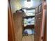 Walk-in closet with shelving filled with blankets, pillows, and storage items at 3930 Regal Oaks Dr, Suwanee, GA 30024