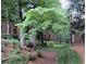 Lush green lawn with mature trees provides shade and enhances the tranquil atmosphere at 1131 Clairemont Ave # B, Decatur, GA 30030