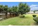Spacious backyard with lush green grass, mature trees, and a wooden fence at 11961 Markham Way, Hampton, GA 30228