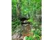 Serene creek with lush greenery flowing through a wooded property at 188 A Macedonia Rd, White, GA 30184