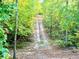 A wooded driveway with mature trees and foliage leads up to the property at 188 A Macedonia Rd, White, GA 30184
