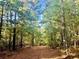 A wooded path with mature trees and foliage overhead leads to the property at 188 A Macedonia Rd, White, GA 30184