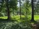 Overgrown yard featuring mature trees and lush ground cover at 390 Hunt River Way, Suwanee, GA 30024