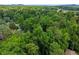 Lush, green tree canopy hides homes below in this aerial view; mountains are visible on the horizon at 269 Terrydale Se Dr, Marietta, GA 30067
