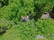 Overhead shot of a home nestled among mature trees, showing its roof and surrounding landscape at 269 Terrydale Se Dr, Marietta, GA 30067