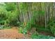 Lush backyard landscape featuring a small wooden bridge and flowering hydrangeas at 269 Terrydale Se Dr, Marietta, GA 30067