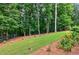 The backyard lawn slopes gently towards a tall wooded tree line at 6490 Ivey Hill Dr, Cumming, GA 30040