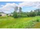 View of a large green backyard surrounded by mature trees in a desirable neighborhood at 1057 Cotton Oak Dr, Lawrenceville, GA 30045