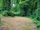 View of a grassy backyard enclosed by lush green vegetation, conveying a sense of privacy at 1159 Eastridge Sw Rd, Atlanta, GA 30311