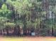 Giverny Lot 4 with dense surrounding trees at 4309 Giverney Blvd, Fairburn, GA 30213