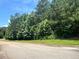 Residential street scene featuring mature trees and lush landscaping at 4309 Giverney Blvd, Fairburn, GA 30213