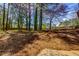 Large backyard area with mature trees, natural landscaping, and plenty of space for outdoor activities at 216 Hickory Way, Canton, GA 30115