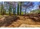 Large backyard with mature trees and natural landscaping at 216 Hickory Way, Canton, GA 30115