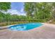 Backyard pool surrounded by mature landscaping at 3314 Eagle Watch Dr, Woodstock, GA 30189