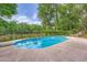 Backyard pool surrounded by mature trees and greenery, creating a serene oasis at 3314 Eagle Watch Dr, Woodstock, GA 30189