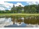 Scenic view of the pond with a golf course, bordered by towering trees at 9634 Coastal Pointe Dr, Villa Rica, GA 30180