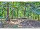 Lush backyard with mature trees and natural landscaping, offering a peaceful, private, and serene outdoor retreat at 6077 Lake Lanier Heights Rd, Buford, GA 30518
