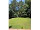 Well-maintained backyard featuring lush green grass and mature trees at 709 Stonehenge Pl, Jonesboro, GA 30236