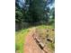 Picture of a backyard featuring mature trees, green grass, and landscaping at 1165 Vineyard Ct, Stone Mountain, GA 30083