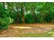 A wooded lot of land with dense trees and a dirt drive on a sunny day at 1445 Monroe Ne Dr # C32, Atlanta, GA 30324