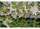 Areal view of residential neighborhood showcasing the manicured lawns and tree-lined streets at 5007 Highland Oaks Se Ct, Smyrna, GA 30126