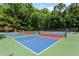 Community pickleball courts are surrounded by lush greenery and trees at 5007 Highland Oaks Se Ct, Smyrna, GA 30126